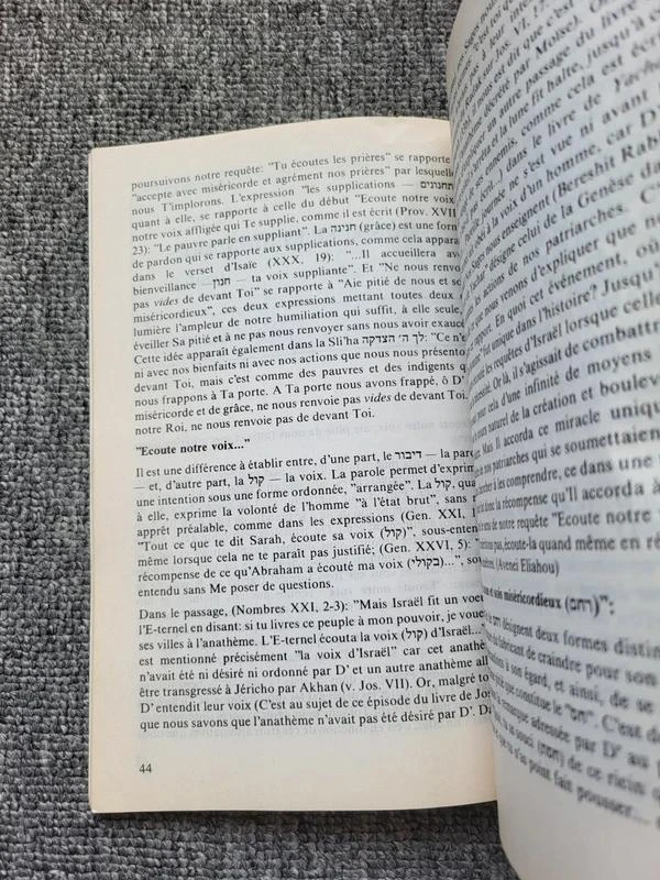 Boek Emounah nr. 10: Joodse gedachte, Thora, Jodendom (Rabbi Shlomo Eliézer Alfand – photo 4